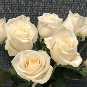 Meet your Posher, Raquel